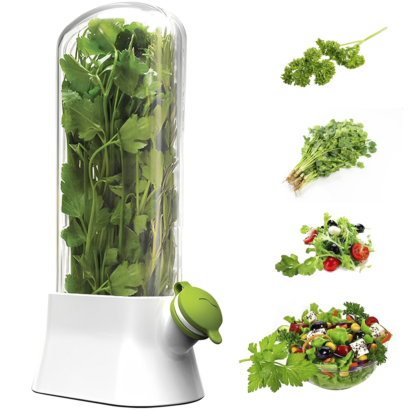 4/1PC Herb Freshkeeping Box Fr - Herb Keeper Bottle avis et prix