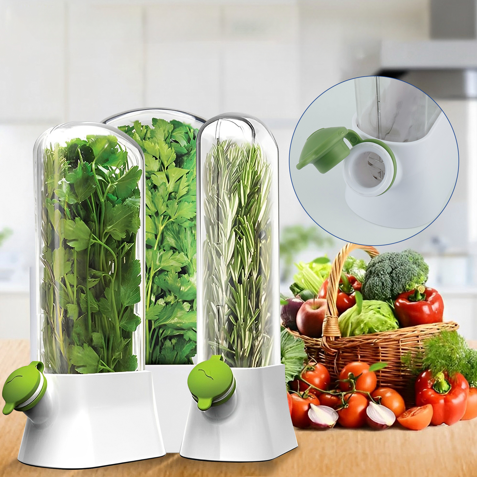 4/1PC Herb Freshkeeping Box Fr - Herb Keeper Bottle avis et prix