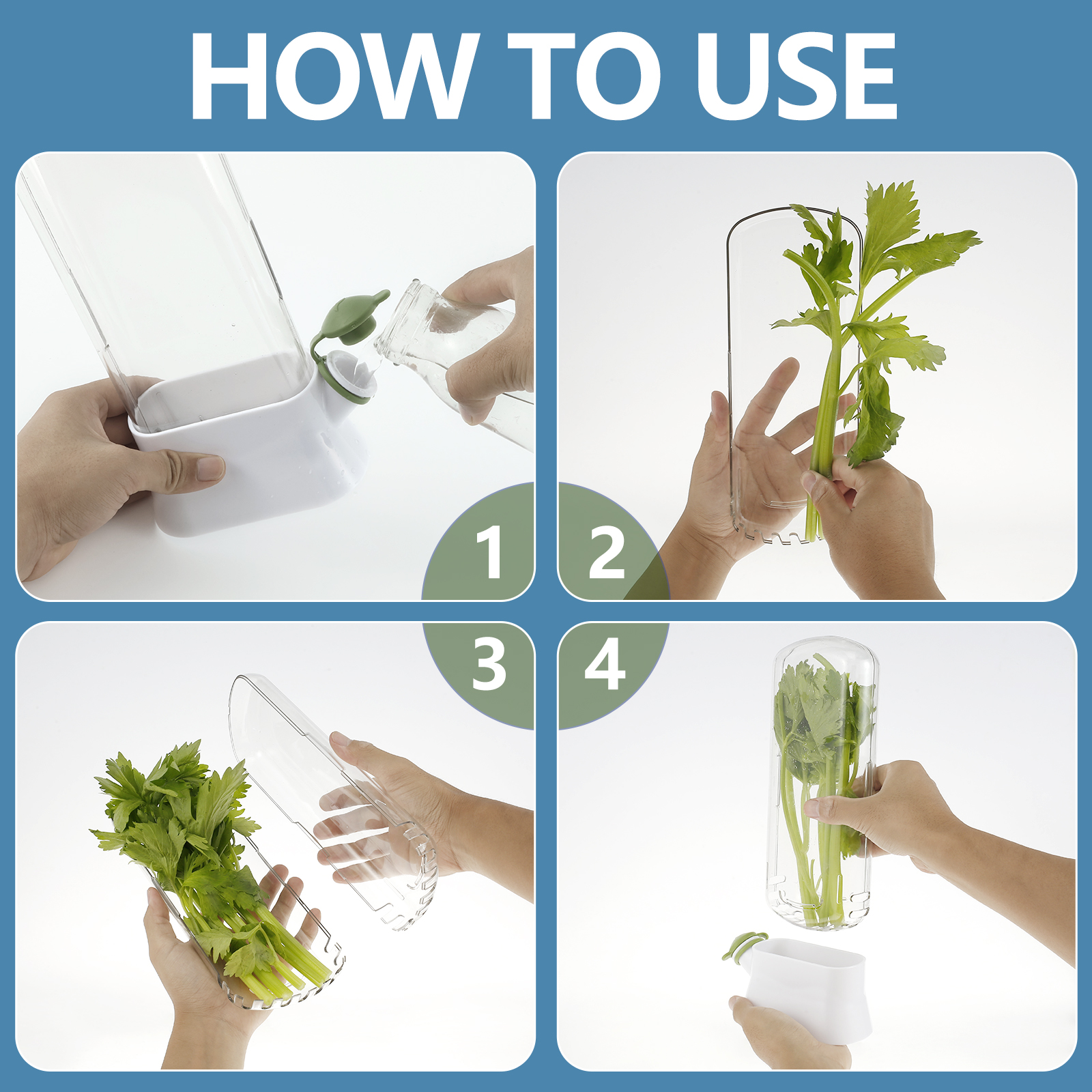 4/1PC Herb Freshkeeping Box Fr - Herb Keeper Bottle avis et prix