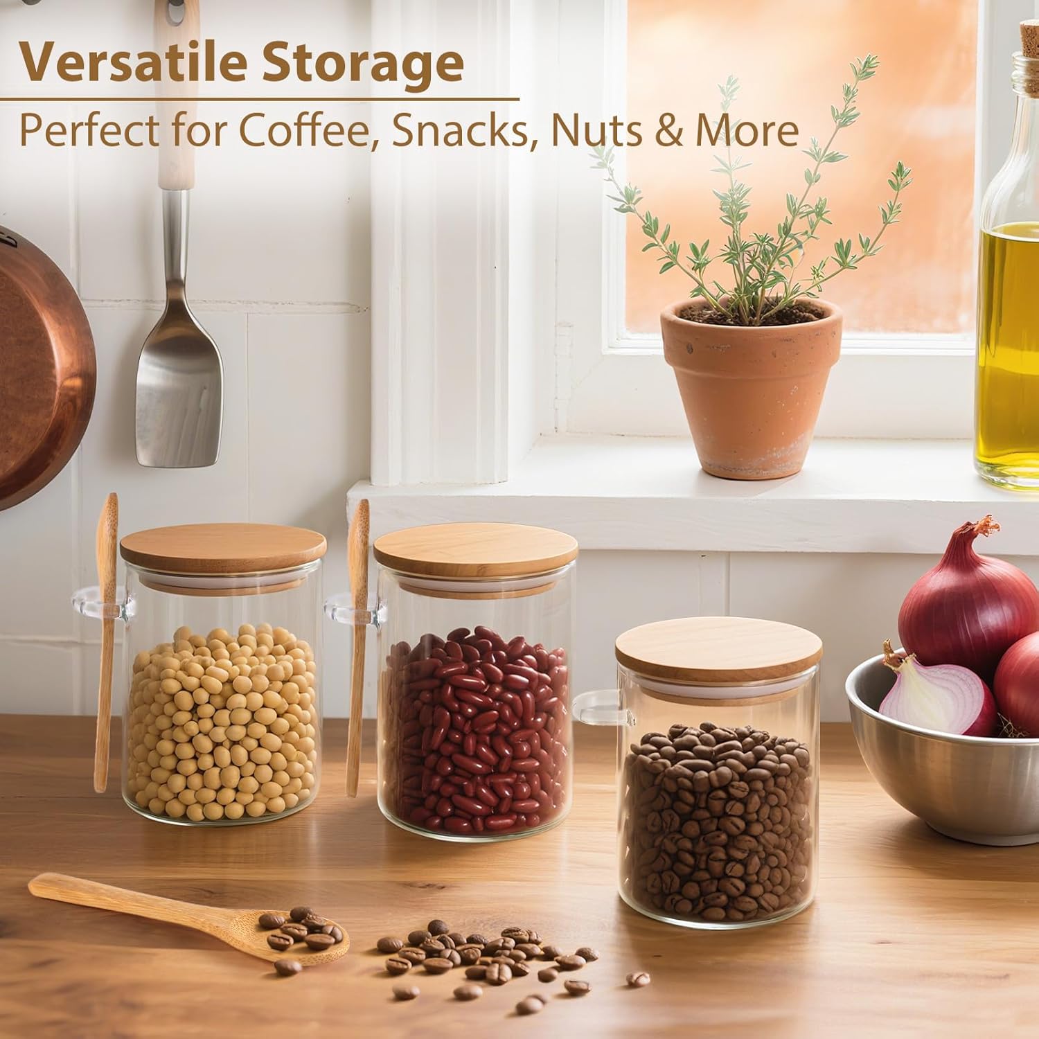 6 Pack Overnight Oats Containe - Meal Prep Containers avis et prix