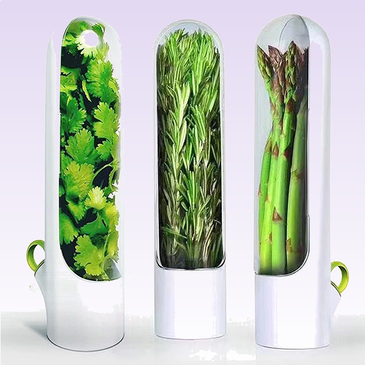 1/2/3PCS Herb Saver Storage Co - Herb Keeper Bottle avis et prix