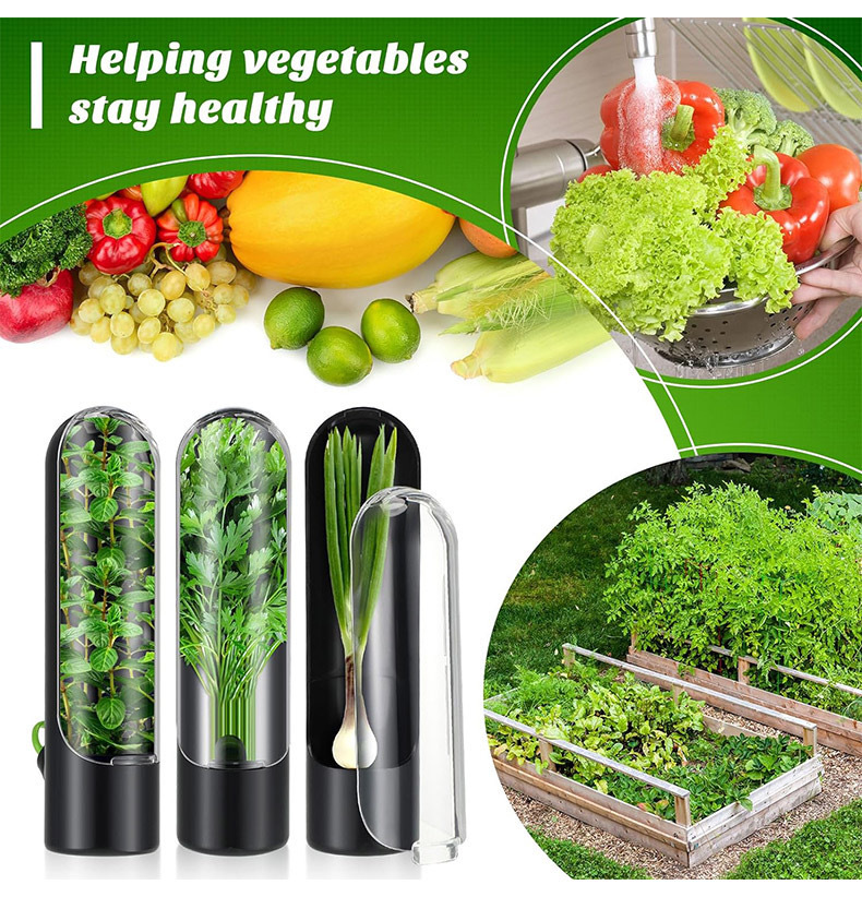Vegetables Fresh Preservation  - Herb Keeper Bottle avis et prix